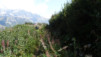 durand_15_047