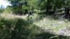 durand_15_053