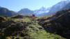 durand_16_010