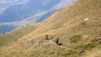 durand_16_039