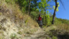 durand_16_053
