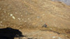 durand_19_010