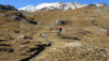 durand_19_013