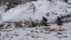 durand_19_029