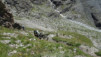 durand_mauvoisin_20_027