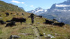 durand_mauvoisin_20_032