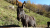 e-chaux_18_001