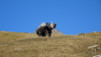 e-chaux_18_019