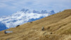 e-fontanets_18_022