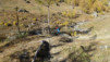 e-varner_18_004