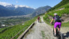 e_jeur_brulee_19_003