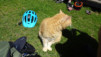 e_jeur_brulee_19_008