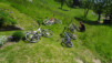 e_jeur_brulee_19_009