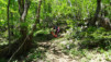 e_jeur_brulee_19_011