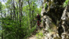 e_jeur_brulee_19_012