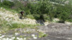 e_jeur_brulee_19_025