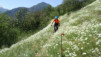 e_jeur_brulee_19_033