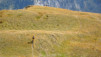 e_saflischpass_18_035