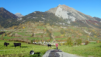 eperviers-cretes_21_001