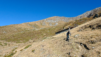 eperviers-cretes_21_010