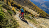 eperviers-cretes_21_015