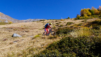 eperviers-cretes_21_016