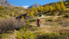 eperviers-cretes_21_021
