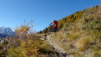 eperviers-cretes_21_023
