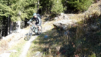 eperviers-cretes_21_024