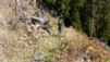 eperviers-cretes_21_025
