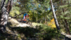 eperviers-cretes_21_026