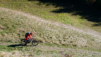 eperviers-cretes_21_028