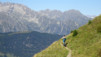eperviers_19_004