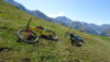 eperviers_19_009