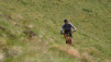 eperviers_19_014