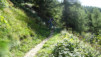 eperviers_19_023