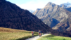 eperviers_cretes_20_001