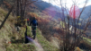 eperviers_cretes_20_002