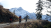 eperviers_cretes_20_003