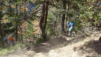 eperviers_cretes_20_020