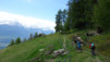 faesilalpu_005