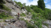 faesilalpu_017