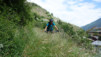 faesilalpu_020