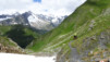 fenetre_ferret_17_027
