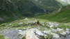 fenetre_ferret_17_028