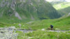 fenetre_ferret_17_030
