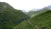 fenetre_ferret_17_035
