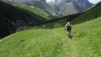 fenetre_ferret_17_037