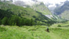 fenetre_ferret_17_040