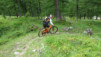 fenetre_ferret_17_041